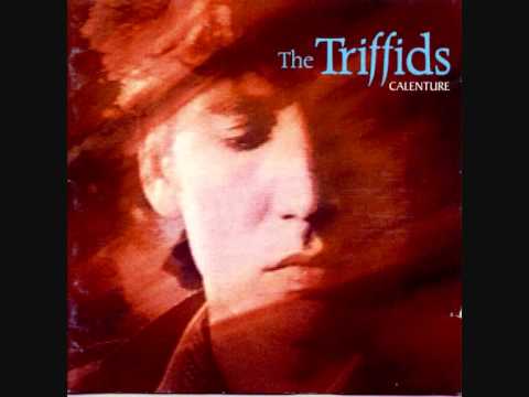 The Triffids - Jerdacuttup Man