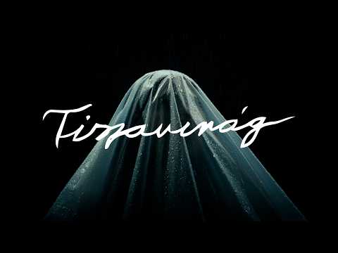Mehringer - TISZAVIRÁG