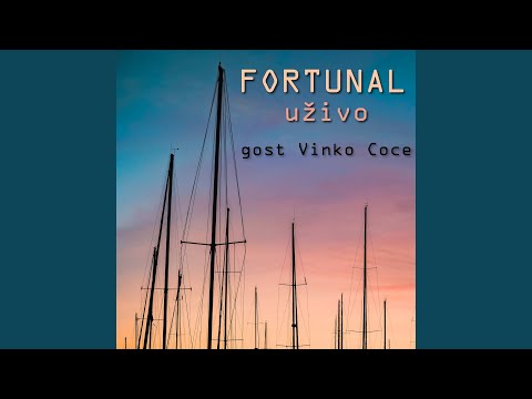 Šetala se Jelica i Ive (Live)