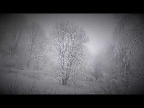 Avertia - Forakt (Official Music Video)