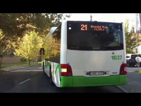 Miskolc Szerződéses járat; Búza tér - Európa Center