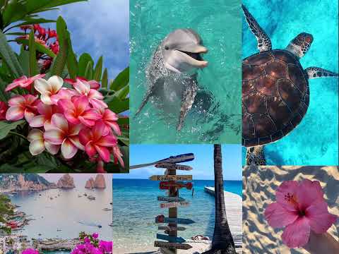 Save this playlist for summer 🐬🪸🌸🐚