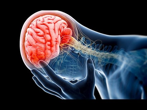 (Doku) Charité: Die Hauptstadtklinik - Einsatz für die Neurochirurgie (HD)