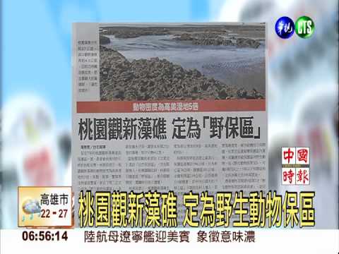 桃園觀新藻礁 定為野生動物保區