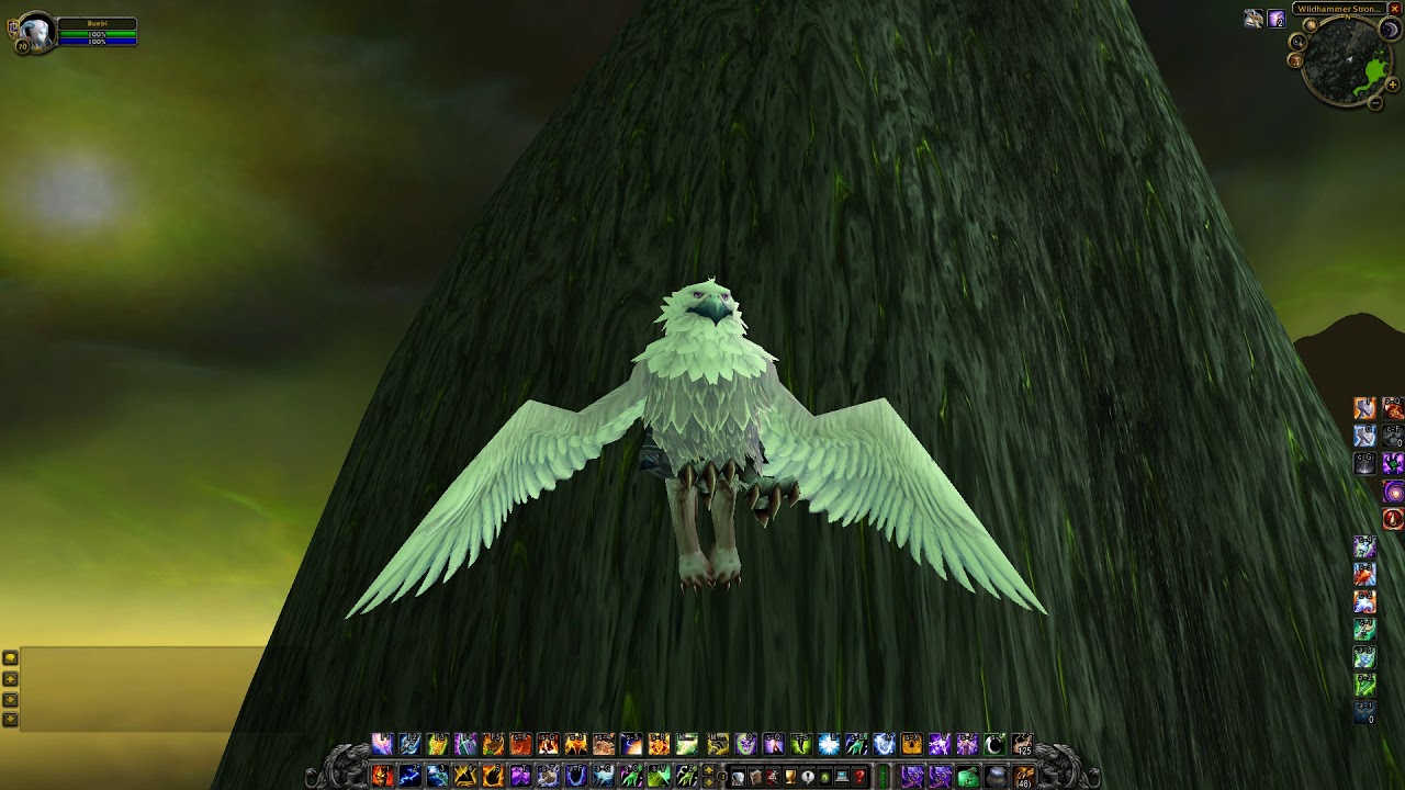 Snowy Gryphon, WoW TBC
