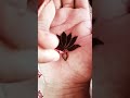 Water Lily Henna Designs Mehndidesign