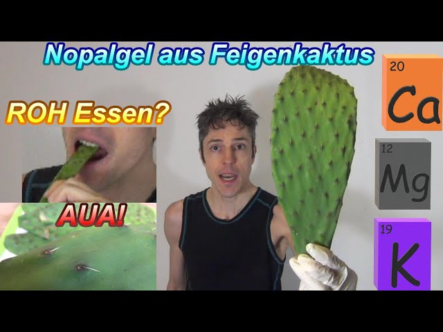 Judge.me YouTube video placeholder