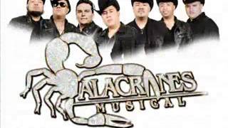 Alacranes Musical - Rueda Mi Mente (Estreno 2013 - 2014)