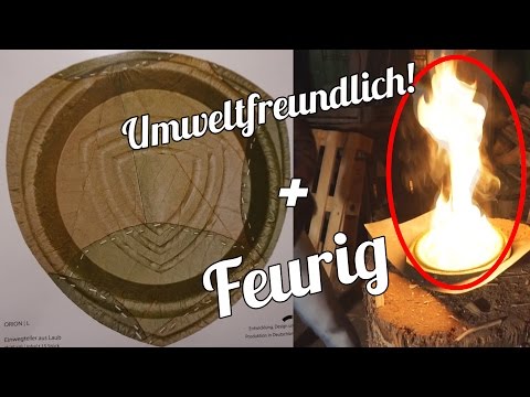 LEAF BLATT TELLER TEST & ZERSTÖRUNG NACHHALTIG UND UMWELTFREUNDLICH