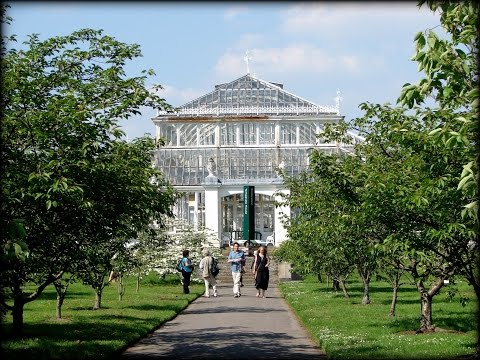 LOndyn ◕◕Kew  Gardens ◕◕ MAGIA DRZEW◕ 05 /2014 ◕cz.2◕