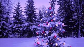 BABY IT'S COLD OUTSIDE ROBERT PALMER & CARNIE WILSON