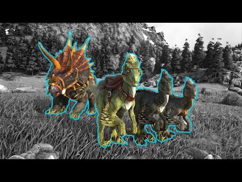 ARK Raptor and Trike TLC