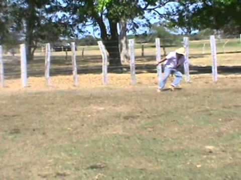 ASDRUBAL CABRERA ADIOS APURE QUERIDO