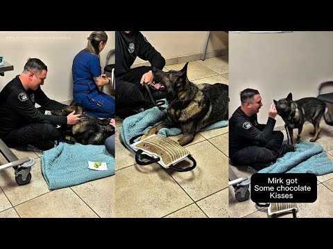 K9 Handler Becky Sneed County