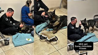 Video: Police K9 gets final training bite, chocolate