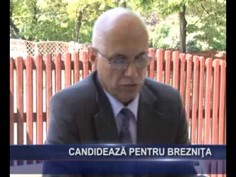 CANDIDEAZA PENTRU BREZNITA
