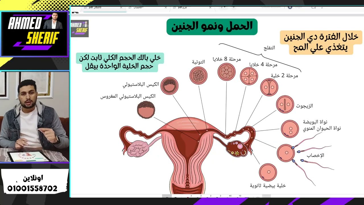 شرح الاخصاب وتكوين الجنين بالتفصيل | أحياء تالتة ثانوي 2026 | الأفكار الصعبة وا?