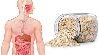 هذا ما يحدث للجسم عند تناول الشوفان يومياً هذا ما يحدث للجسم عند تناول الشوفان يومياً