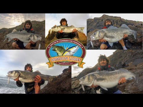 Big Sea Bass 9 Double figures-How to catch big sea bass on lures👉Samson lures