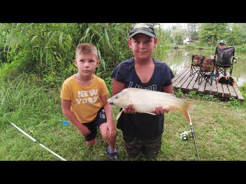 Dunakeszi Tőzegtó Horgásztábor