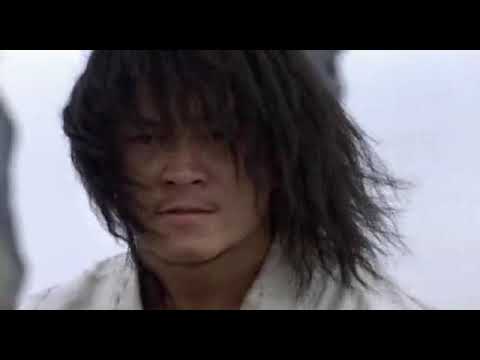 Luptătorul vântului   Fighter in the wind