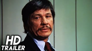 The Stone Killer (1973) ORIGINAL TRAILER [HD 1080p]