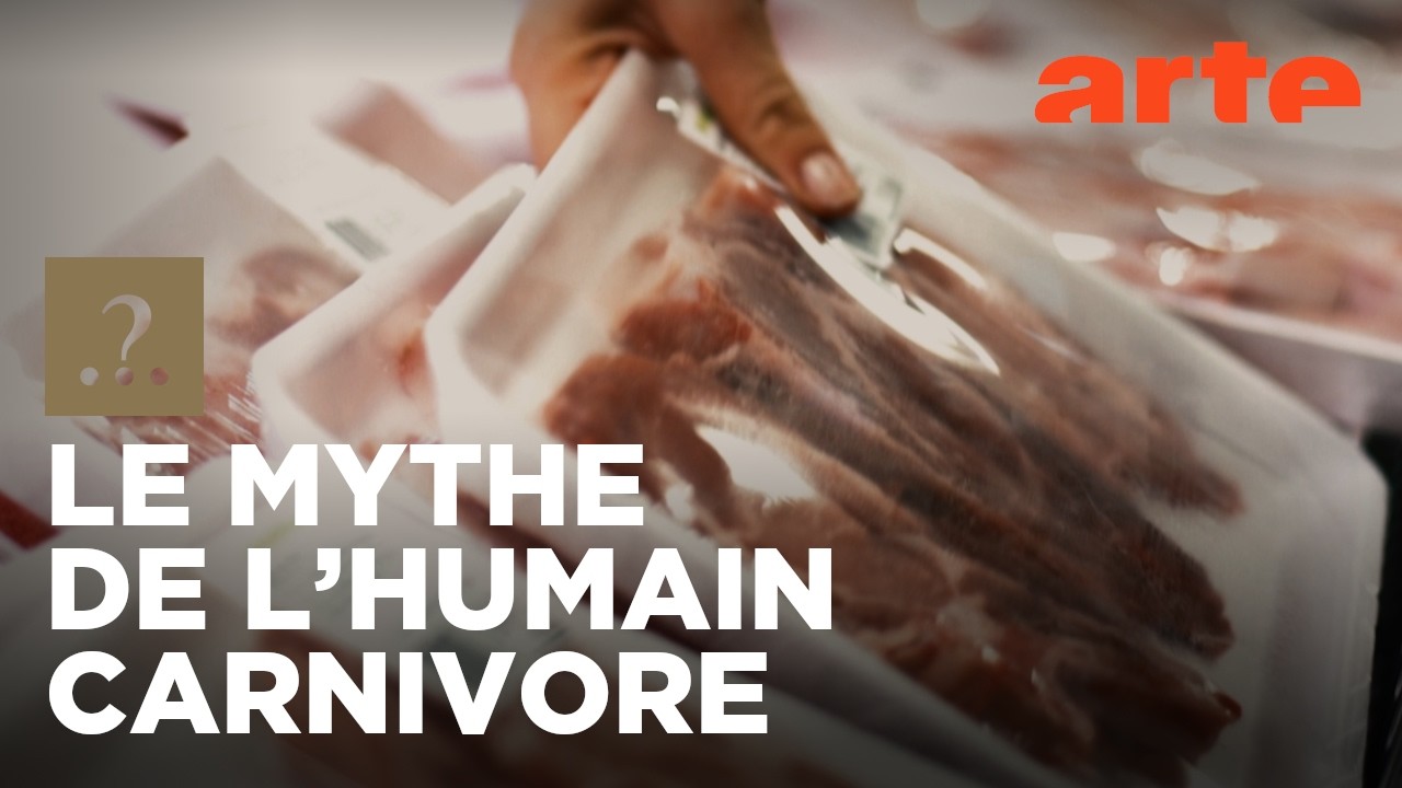 Est-il vrai que nous avons toujours mangé de la viande ? | Est-il vrai que...? | ARTE