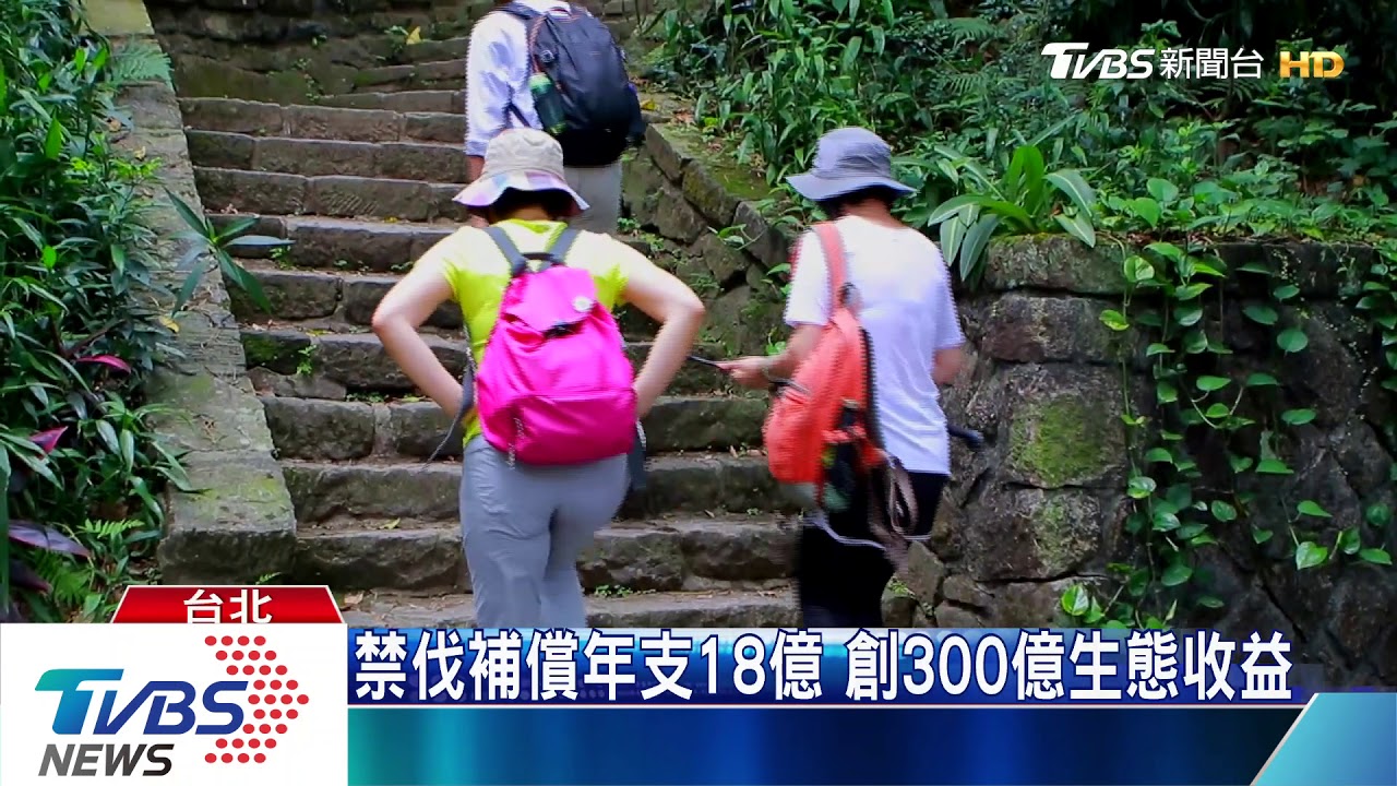山林守護神計畫 原民會推禁伐補償