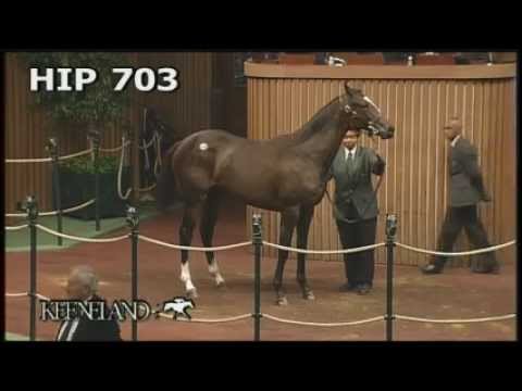Zenyatta at the 2005 September Yearling Sale