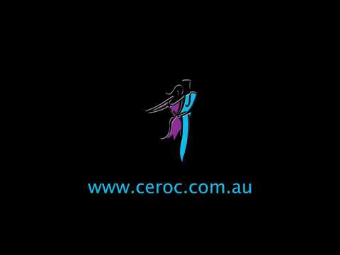 2017 CMJ Championships - Sunday Night Winners Performance (West Coast Swing)