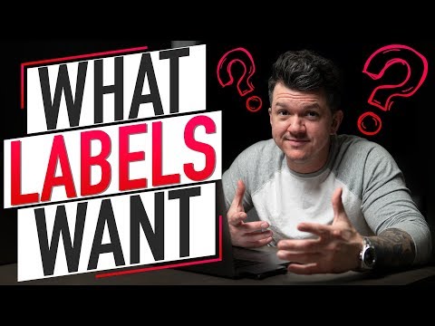 What Record Labels Are Looking For | How To Get Signed