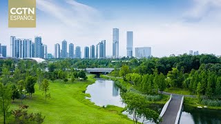 China impulsa las finanzas verdes para un desarrollo de alta calidad