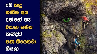 "ට්‍රෝල් "  Sinhala Review | Movie Explained in Sinhala | Movie Reviews Sinhalen