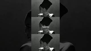 Beyoncé - Lemonade, chapter 4: Apathy