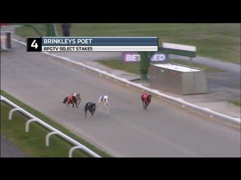 2018 SELECT STAKES - BRINKLEYS POET