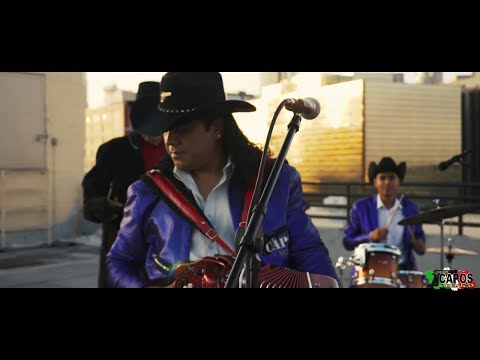 Los Capos de Mexico - "La Canelera" (En Vivo desde Los Angeles)