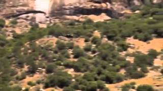 Police in Helicopter&#39; - John Holt (Tom Laroc Video