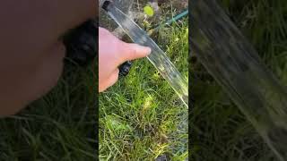 laminar flow                                                  #Short video