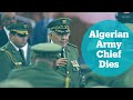 Algeria S Military Chief Gaed Salah Dies At 79