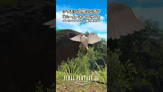 シナモン文鳥のミニオンがきた！「ニーム・オーロサパ」 #FF14