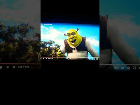 "Kung Fu Ogre, Donkey, Cat 2" Trailer