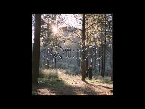 02. Fifty Grand - taliesin