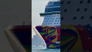 Norwegian Encore 🛳️ #travel #cruiseship #cruise #vacation #shorts #short #sea #ytshorts #yt #luxury