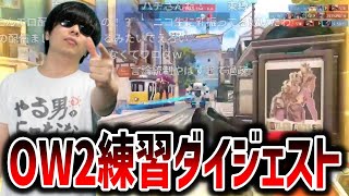 カスタムに向けてオーバーウォッチの鍛錬を積むもこう