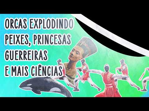 COMO LUTAR COM ROBÔS, HACKEAR COM IAS E BRINCAR COM ORCAS | ABDUÇÃO