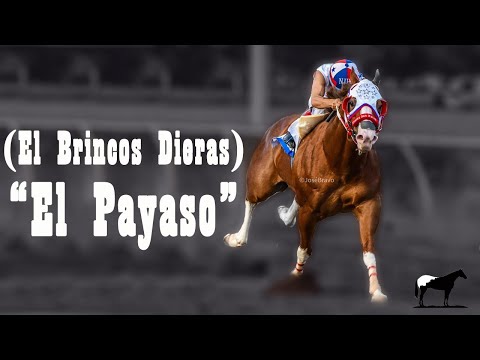 The Return of "The Clown" to the Tracks (The Fastest Horse in Mexico) 🐴-Del Cerro Soy