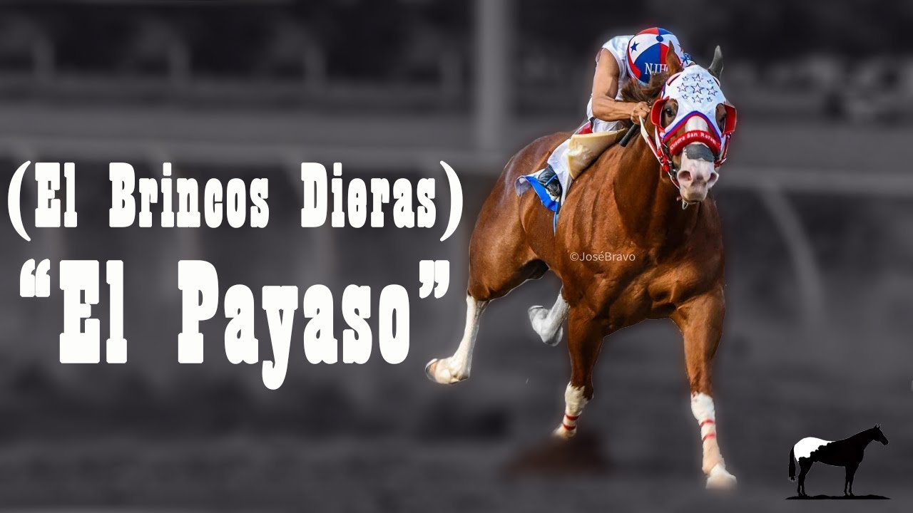 El Regreso Del "Payaso" A Los Carriles (El Caballo Mas Rápido De México) 🐴-Del Cerro Soy