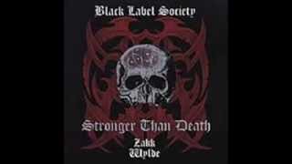 Black Label Society   Ain&#39;t Life Grand