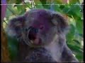 Barney Goes To Australia