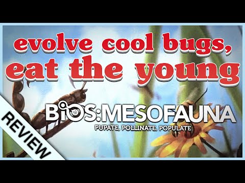  Is BIOS MESOFAUNA a mess or a bless? A Review. 